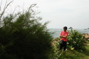 A picture