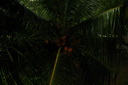 A picture