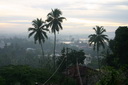 A picture