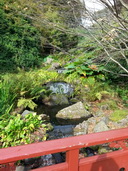 A picture