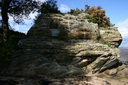 A picture