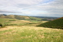 A picture