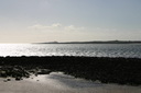 A picture