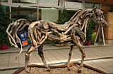 misc0055.JPG