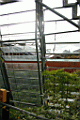 misc0069.JPG