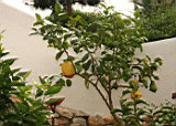 misc0074.JPG