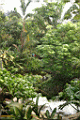 misc0079.JPG