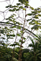 misc0082.JPG