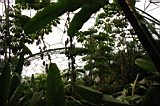misc0087.JPG