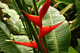 misc0089.JPG