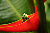 misc0090.JPG