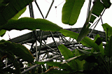 misc0097.JPG