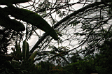 misc0101.JPG