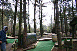 Cp0036.jpg