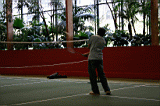 Cp0042.jpg