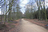 Cp0057.jpg