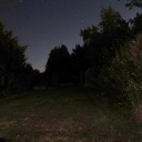 A picture