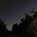 A picture