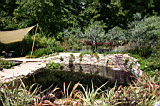 hcfs0003.JPG