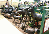 hcfs0008.JPG