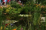 hcfs0012.JPG