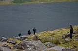 nwales0048.JPG