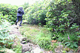 nwales0056.JPG