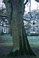 shef0021.JPG