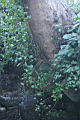 shef0026.JPG
