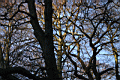 shef0027.JPG