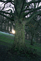 shef0039.JPG