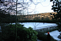 shef0045.JPG