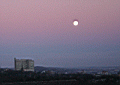 shef0049.JPG