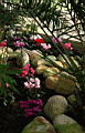 shef0067.JPG