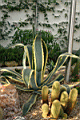 shef0089.JPG