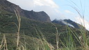 A picture