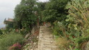 A picture