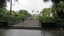 A picture