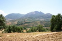 A picture
