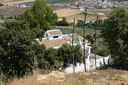 A picture