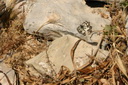 A picture