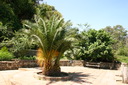 A picture