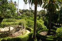 A picture