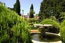 A picture
