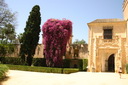 A picture