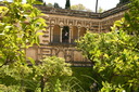 A picture