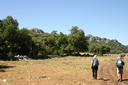 A picture