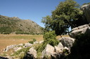 A picture