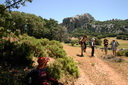 A picture
