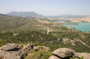 A picture